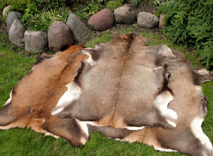 garveri fårskinn naturligt fårskinn matttillverkare grossistlager Polen
